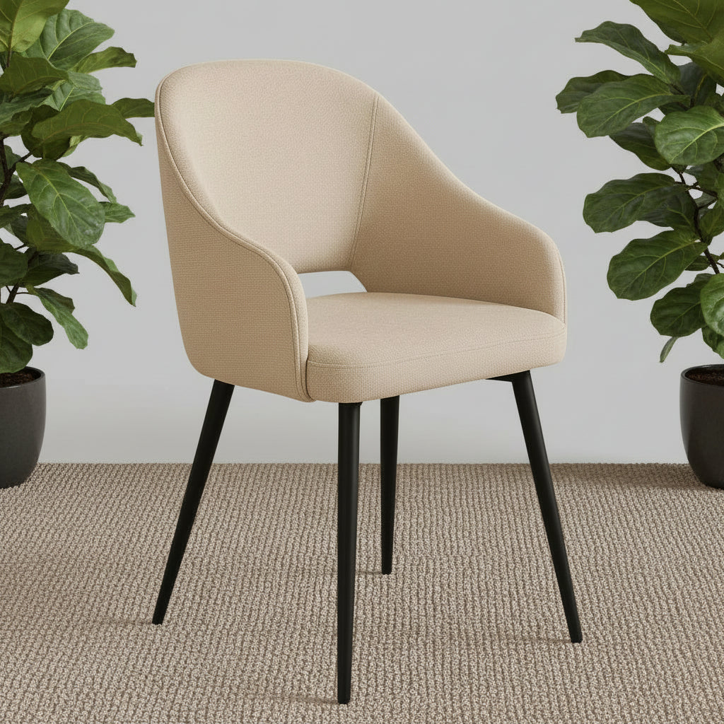 Aden Dining Chair